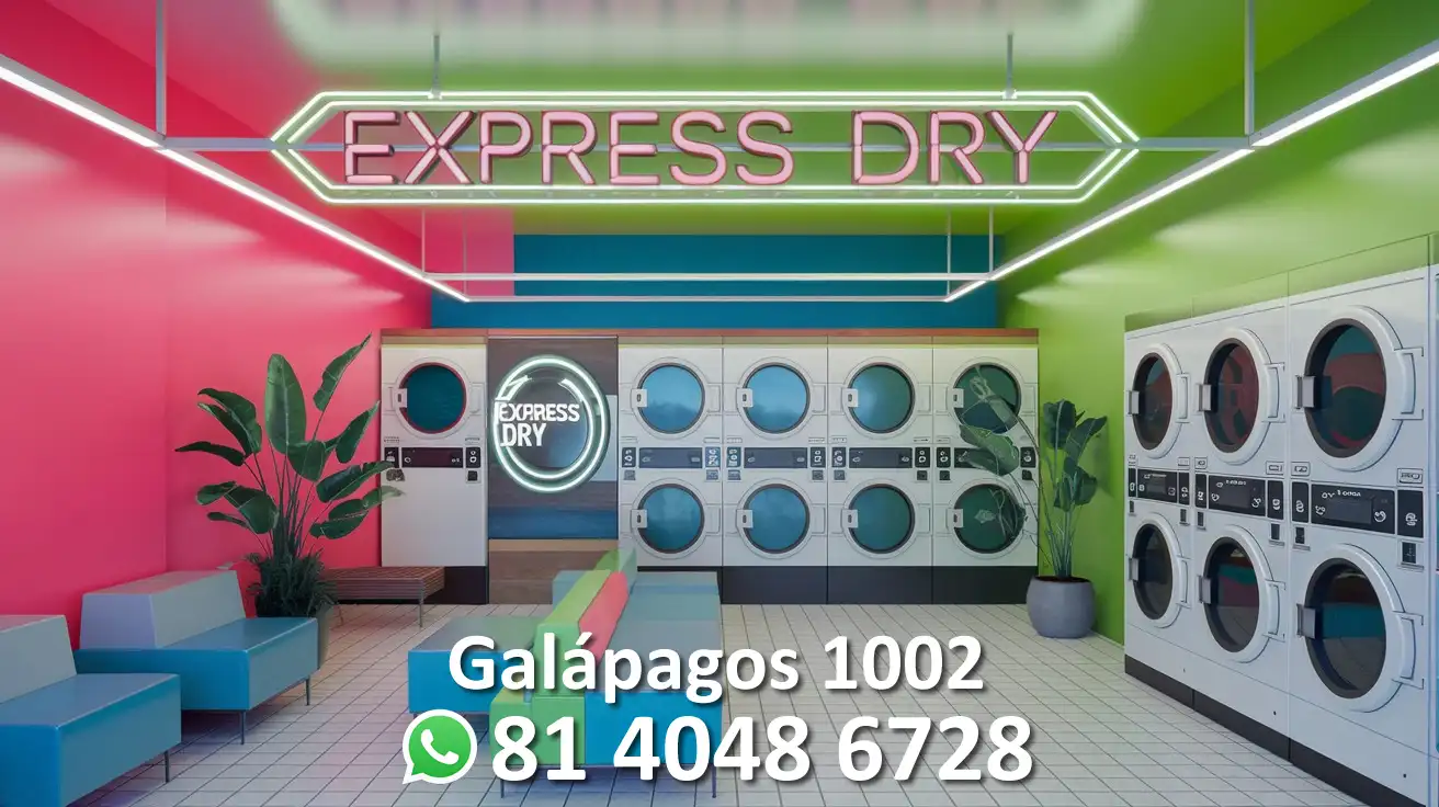 Descripción de la imagen
